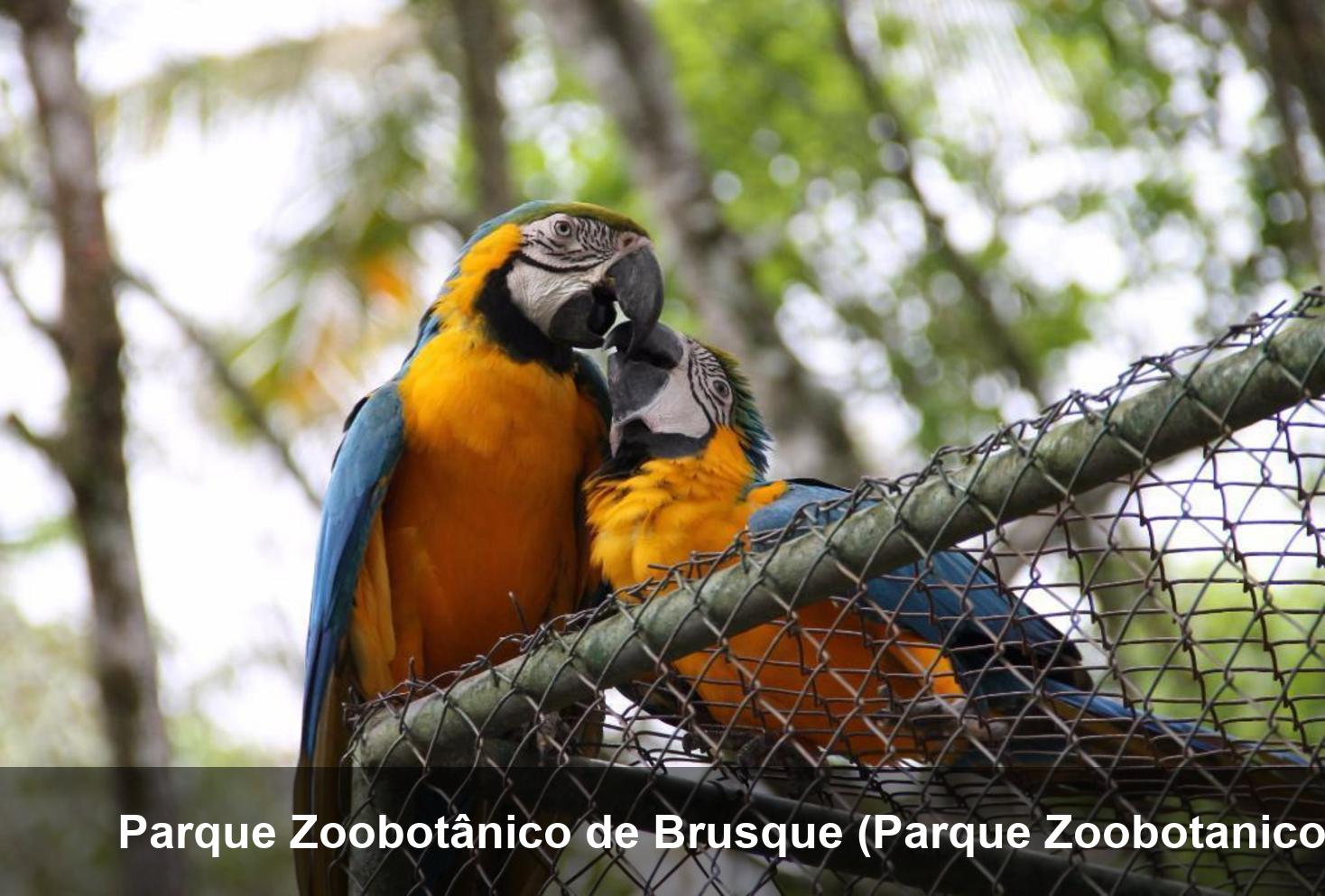 Parque Zoobotânico de Brusque (Parque Zoobotanico de Brusque)