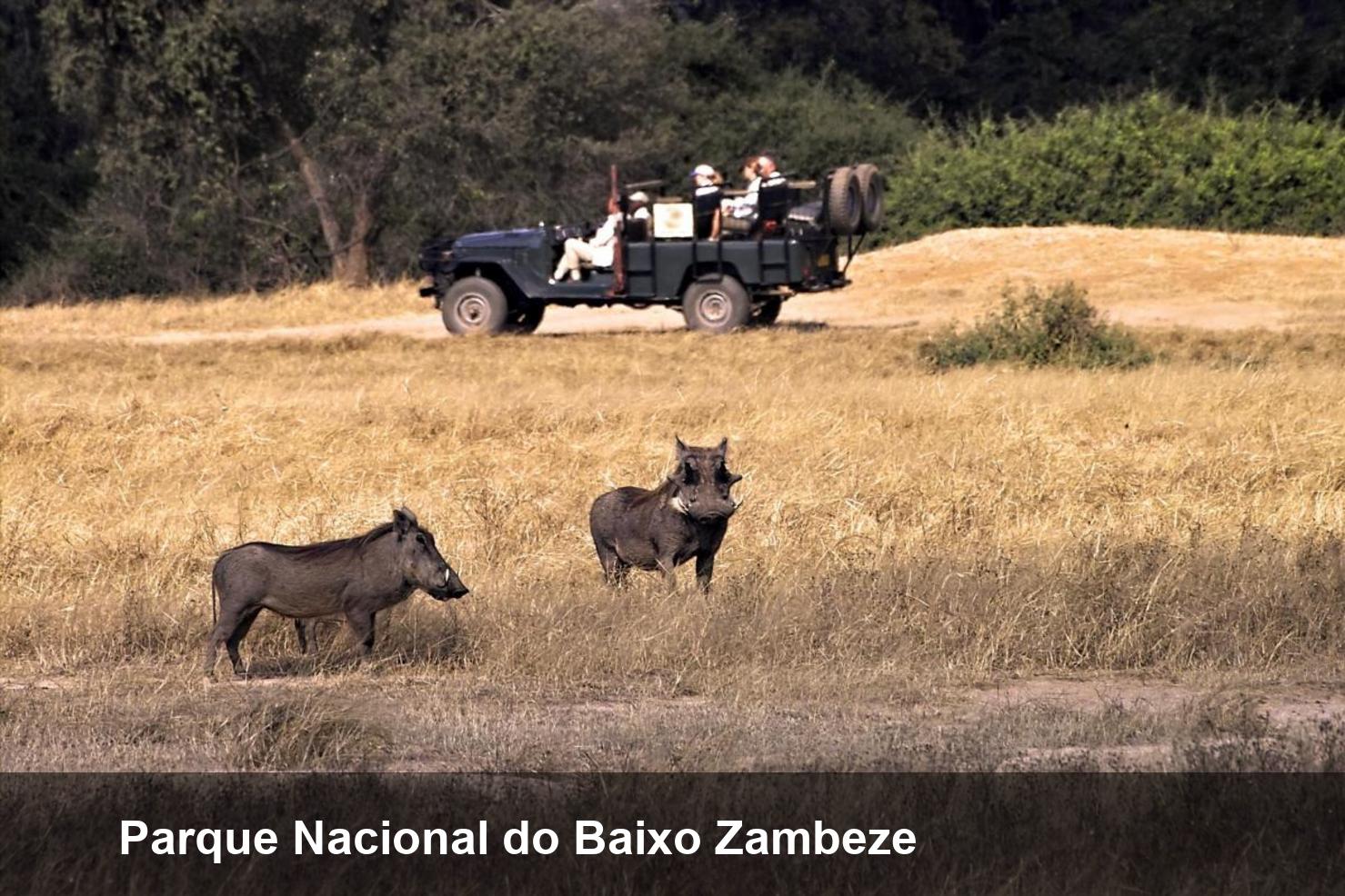 Parque Nacional do Baixo Zambeze