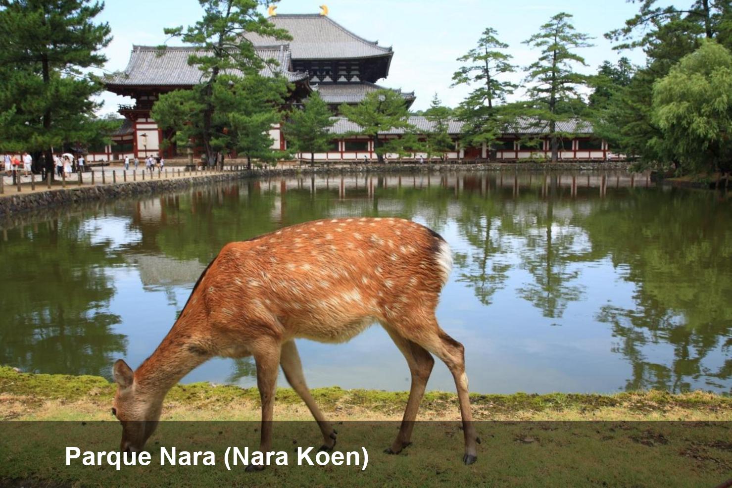 Parque Nara (Nara Koen)