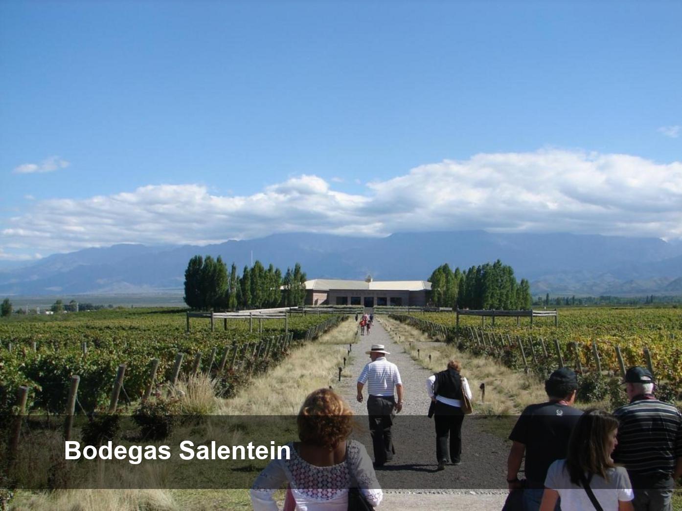 Bodegas Salentein