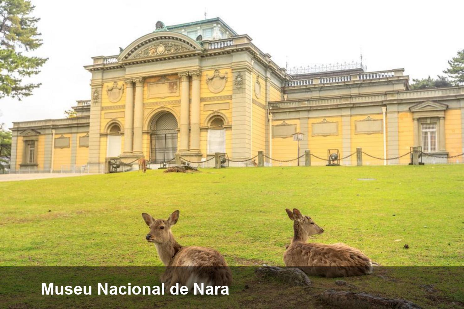 Museu Nacional de Nara