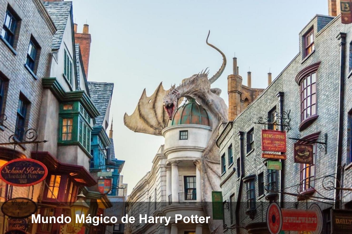 Mundo Mágico de Harry Potter