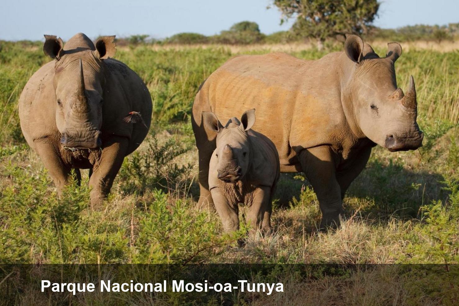 Parque Nacional Mosi-oa-Tunya