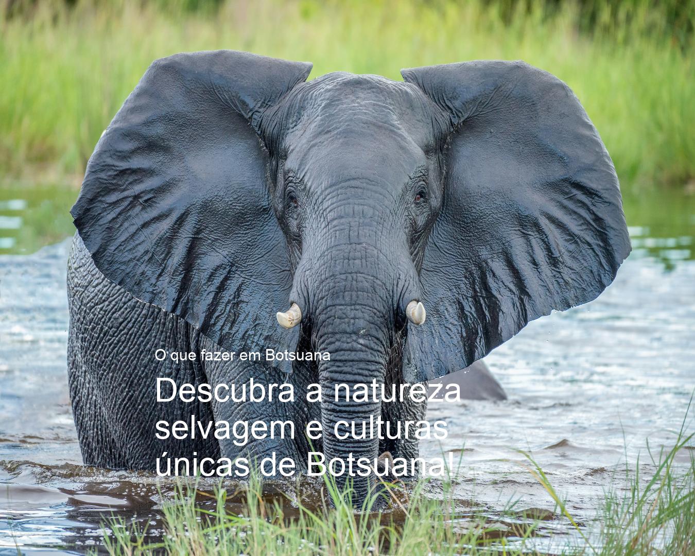 Botsuana