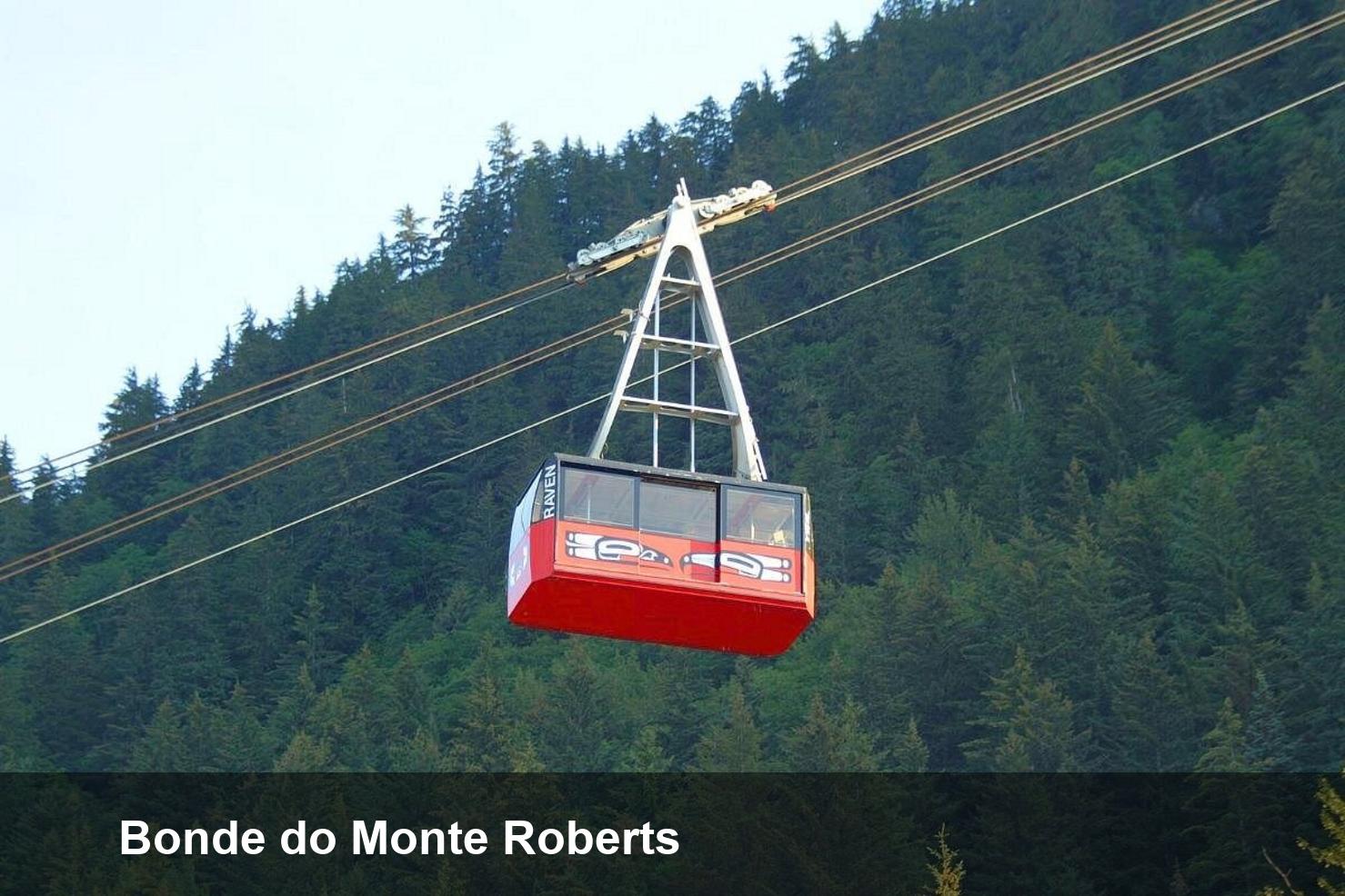 Bonde do Monte Roberts