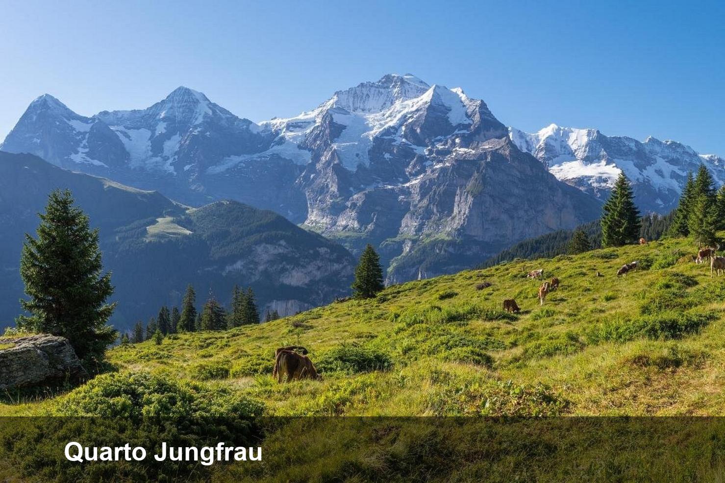 Quarto Jungfrau