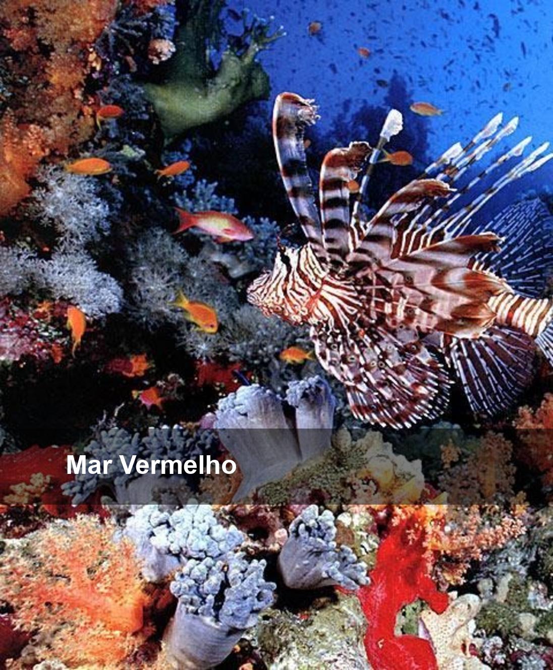 Mar Vermelho