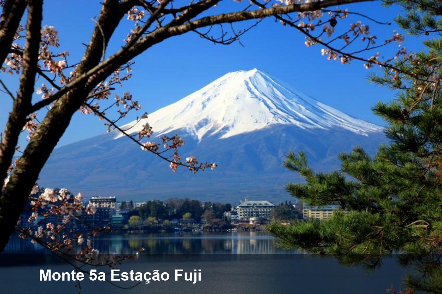 Monte 5a Estação Fuji