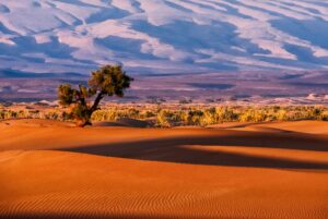 Descubra Marrocos: Um Destino de Encantos e Cultura